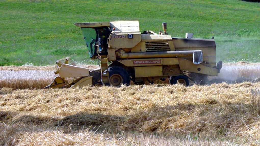 LA MOISSON A SAINT SATURNIN 63