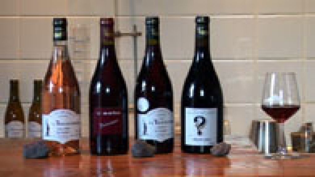 VISITE DU DOMAINE DE LA TOUR DE PIERRE AU CREST
